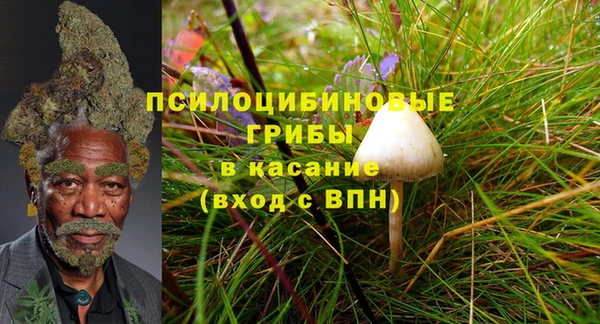 МДПВ Богородск