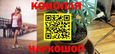 дмт Ставрополь