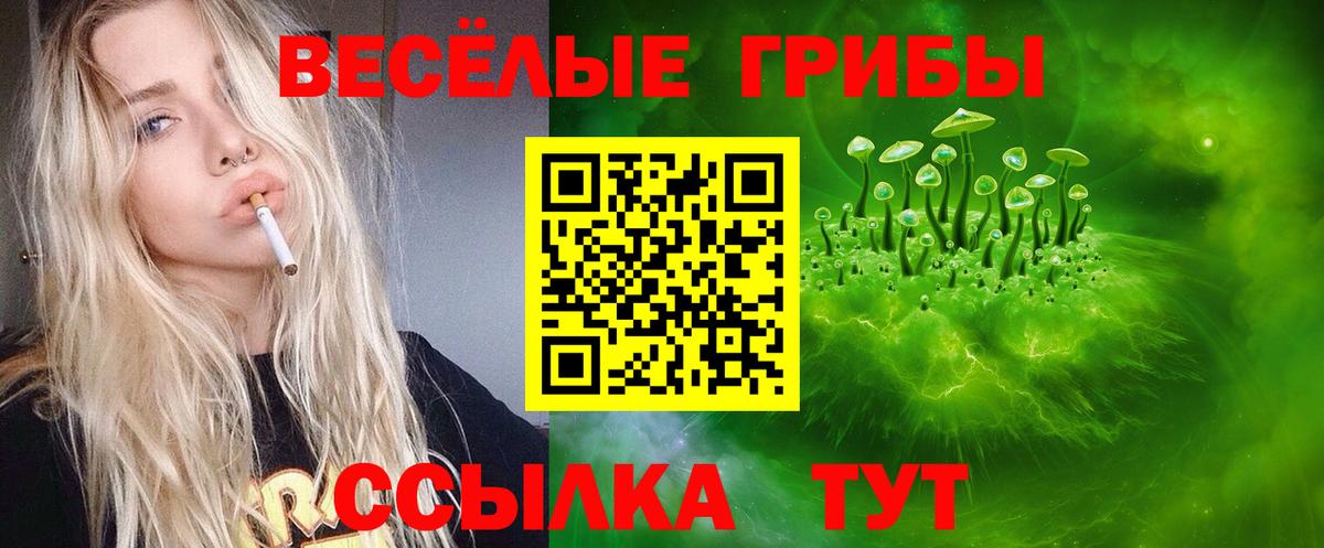 Галлюциногенные грибы Psilocybine cubensis Сердобск